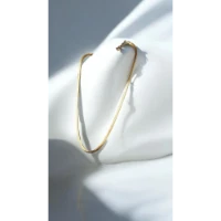 سلسلة ضهر حية