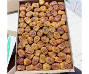 تمر رطب سكري القصيم